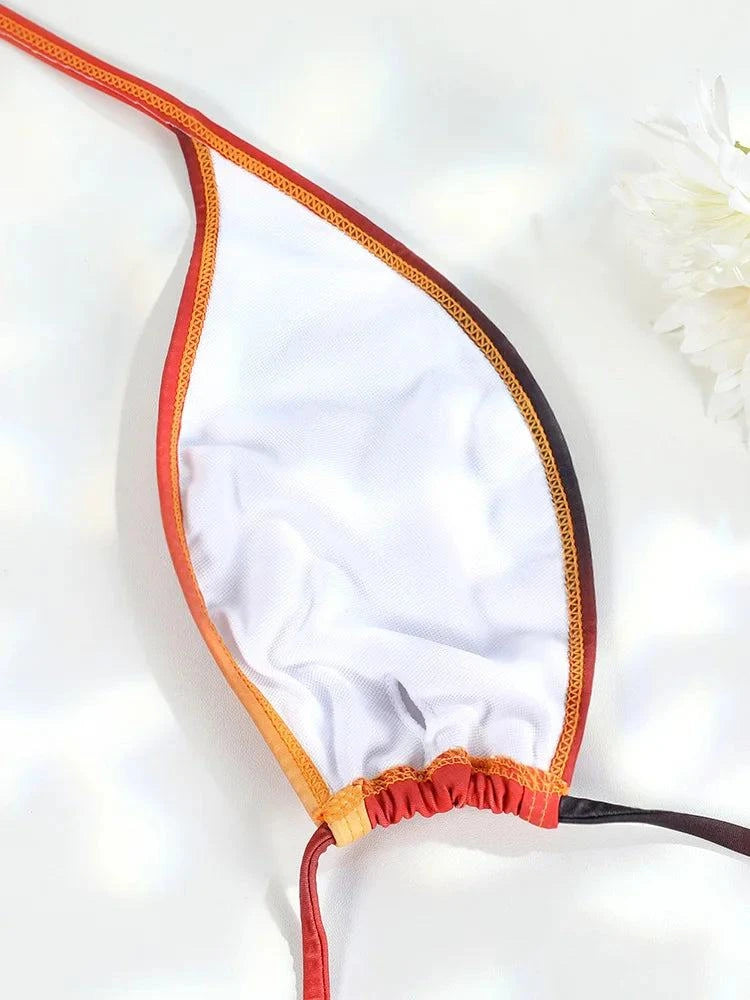 Gradient Swimsuit Women Wear Bikini Sets